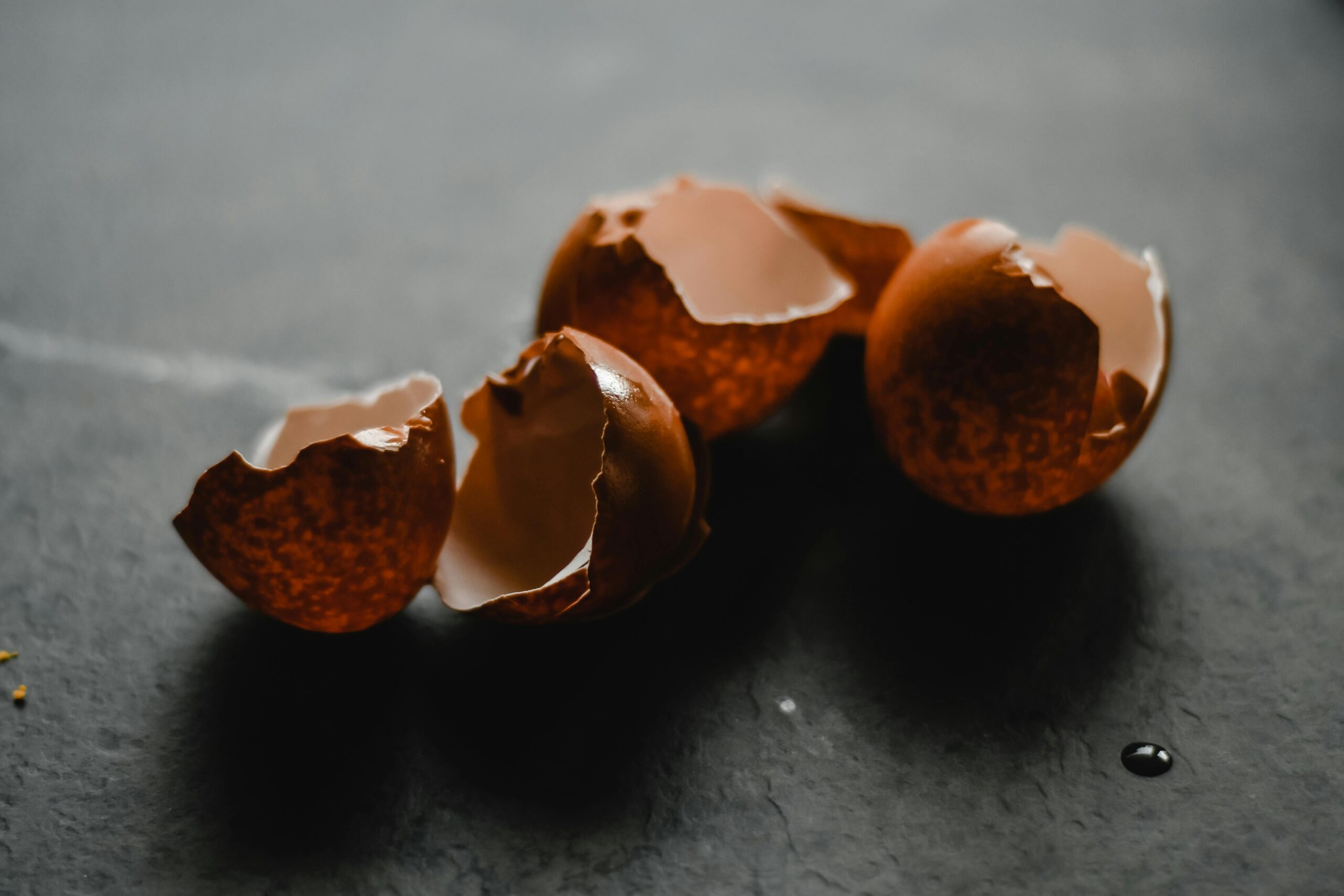 pexels-eva-bronzini-5740850